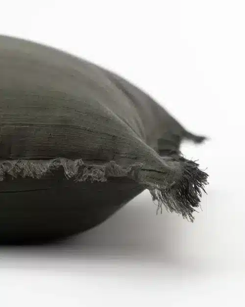 Abbey Silk Fringe Pillow Cover - Image 2